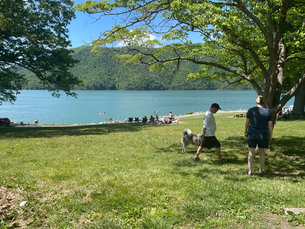 Panorama of Watauga Lake and the surrounding Cherokee National Forest mountains